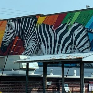 Meet your Posher, Kellie